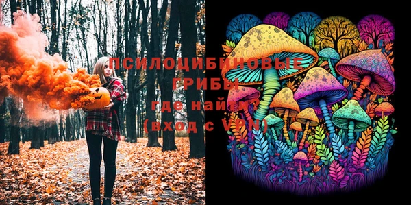 мескалин Богданович
