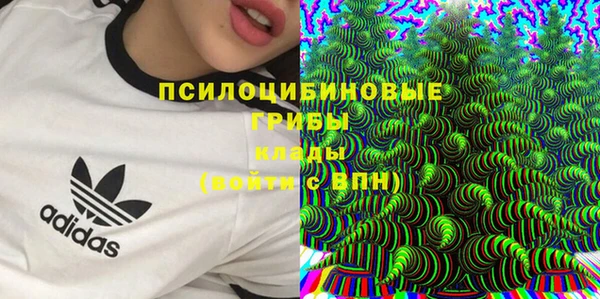 спайс Богородицк
