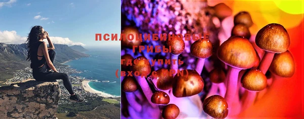 мескалин Богданович