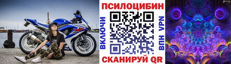 сколько стоит  Топки  shop телеграм  Галлюциногенные грибы Psilocybe 